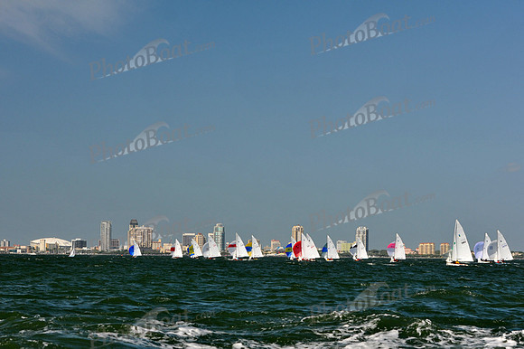 2012 Thistle Midwinters B 655