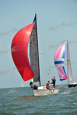 2015 Southern Bay Race Week C 1007