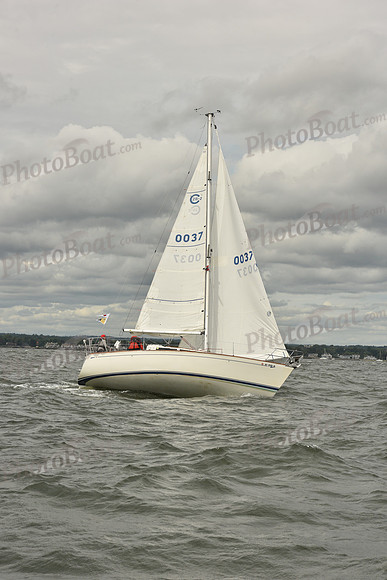 2024 Vineyard Race A_1420