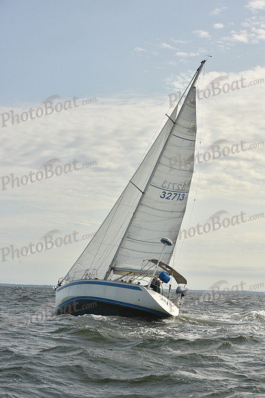 2024 Vineyard Race A_1263