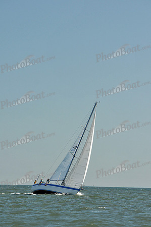 2013 Southern Bay Race Week D 248