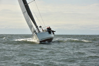 2024 Vineyard Race A_0623