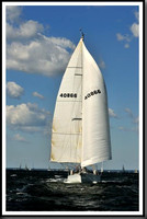 proof_2010_Vineyard_Race_0216