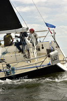 2024 Vineyard Race A_1565