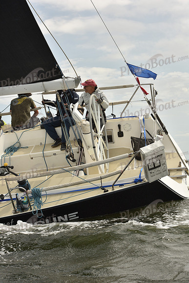 2024 Vineyard Race A_1565