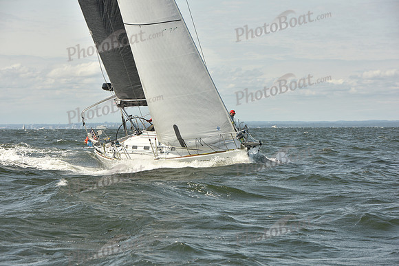 2024 Vineyard Race A_0855