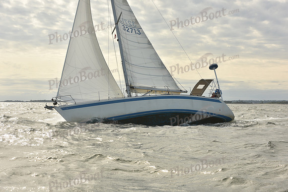 2024 Vineyard Race A_1258