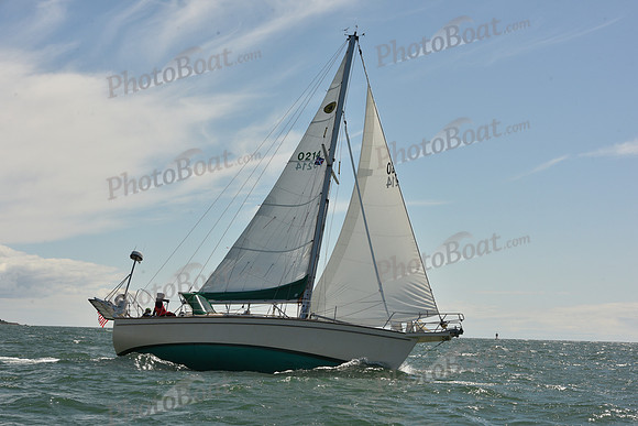 2025 Figawi_0210