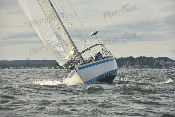 2024 Vineyard Race A_1253