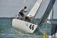 2019 J24 Worlds C_0556