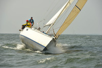 2015 Vineyard Race A 340