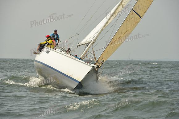 2015 Vineyard Race A 340