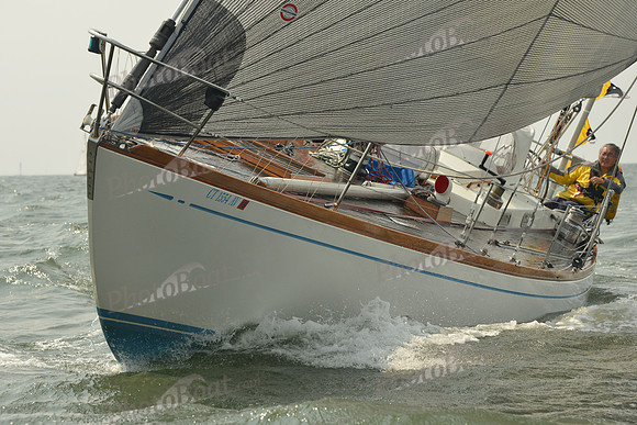 2015 Vineyard Race A 1028