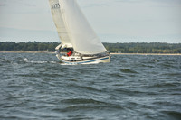 2024 Vineyard Race A_1240