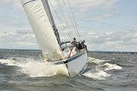 2024 Vineyard Race A_1896