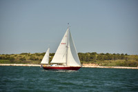2024 Figawi 0196