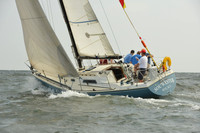 2015 Vineyard Race A 288