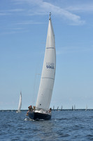 2019 Around Marthas Vineyard A_0566
