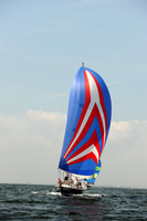 2013 Vineyard Race A 861