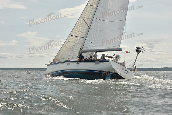 2024 Vineyard Race A_1914