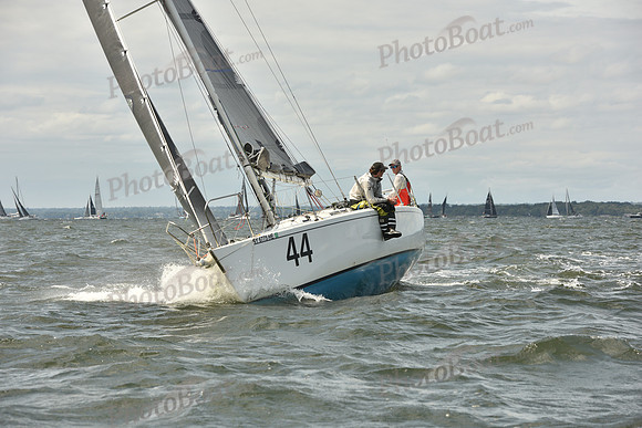 2024 Vineyard Race A_1689