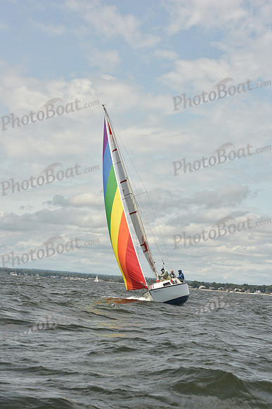 2024 Vineyard Race A_1772