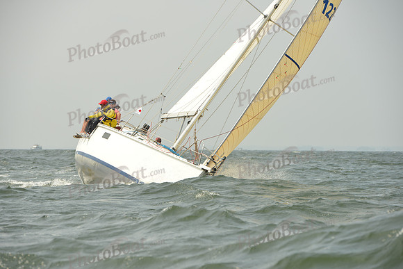 2015 Vineyard Race A 339