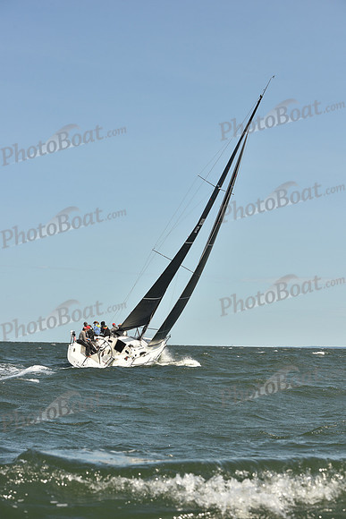 2024 Vineyard Race A_0530
