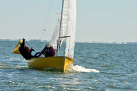 2012 Thistle Midwinters A 798