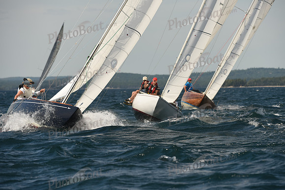 2016 Chester Race Week A_1223