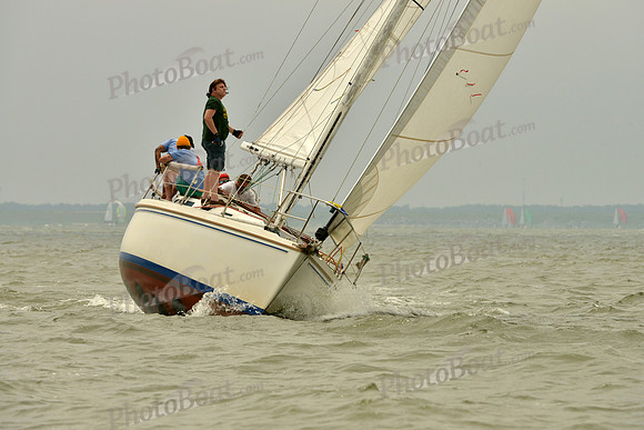 2016 Southern Bay Race Week A_1171