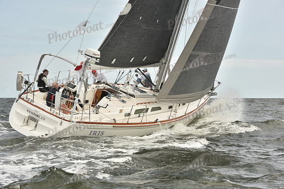2024 Vineyard Race A_1476