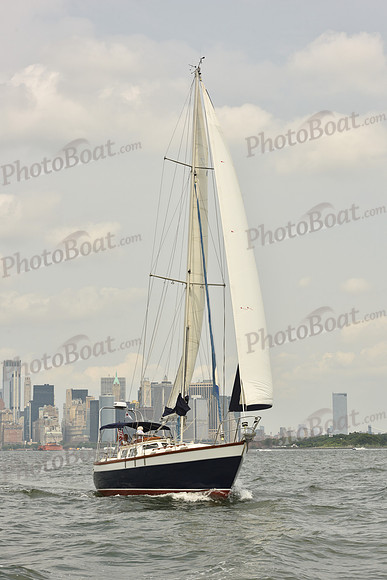 2024 ALIR_0494
