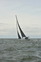 2024 Vineyard Race A_2297
