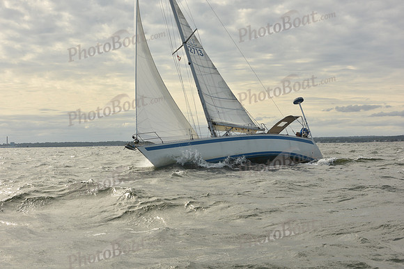 2024 Vineyard Race A_1256