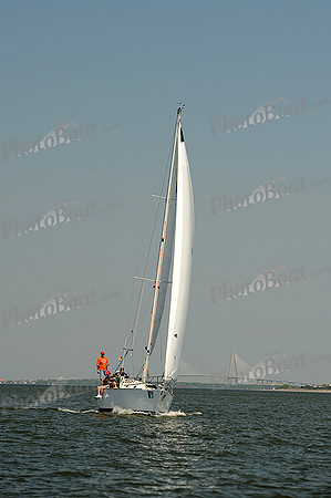 2014 Charleston Race Week A 118