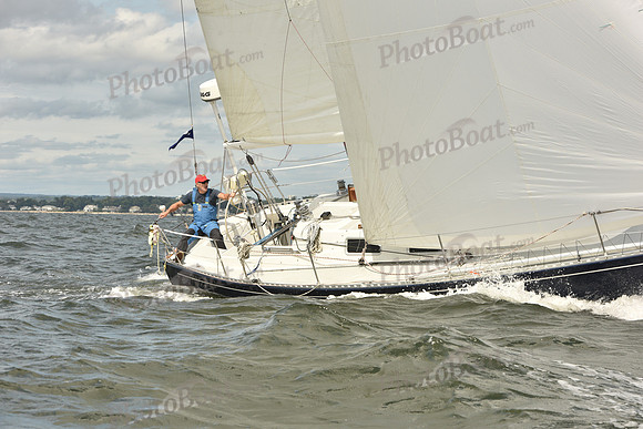 2024 Vineyard Race A_1672