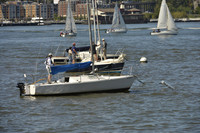 Race Committee, Venue