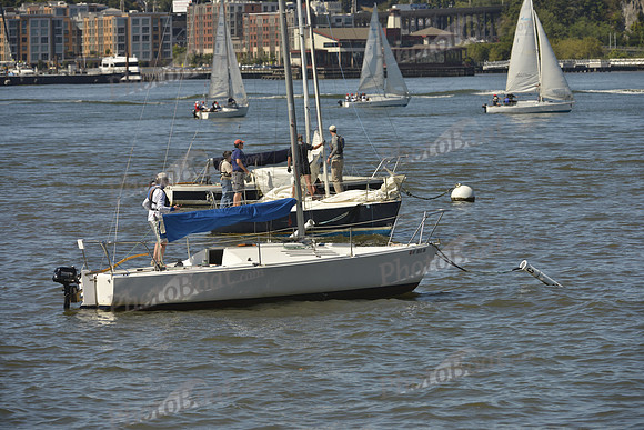 2016 NY Architects Regatta_0004