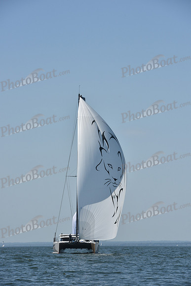 2019 Vineyard Race A_2434
