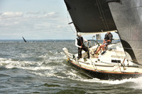 2024 Vineyard Race A_2347