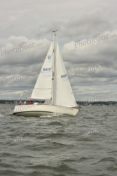2024 Vineyard Race A_1422