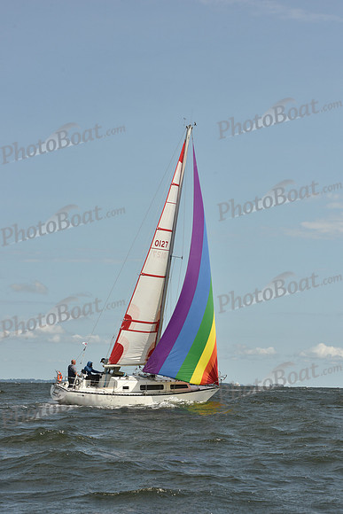 2024 Vineyard Race A_1798