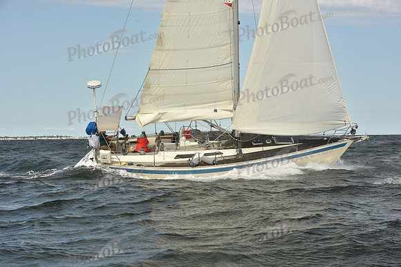 2024 Vineyard Race A_1271
