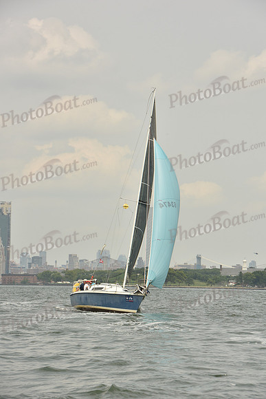 2024 ALIR_0600