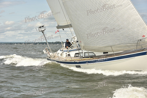 2024 Vineyard Race A_1902