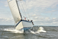 2024 Vineyard Race A_1892