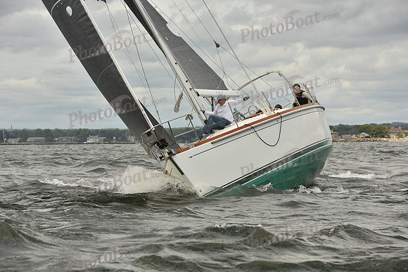 2024 Vineyard Race A_1462