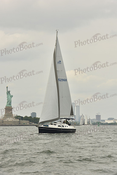 2024 ALIR_0502