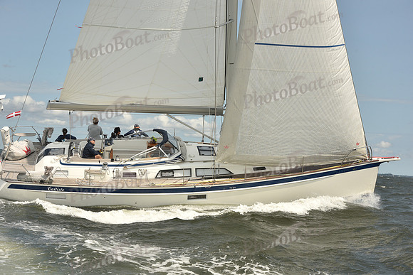 2024 Vineyard Race A_1903